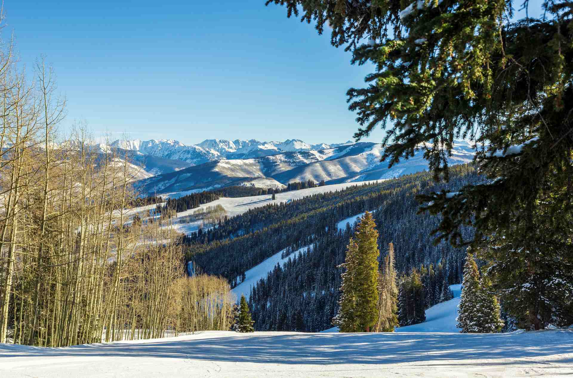 Beaver Creek • Ski Holiday • Reviews • Skiing