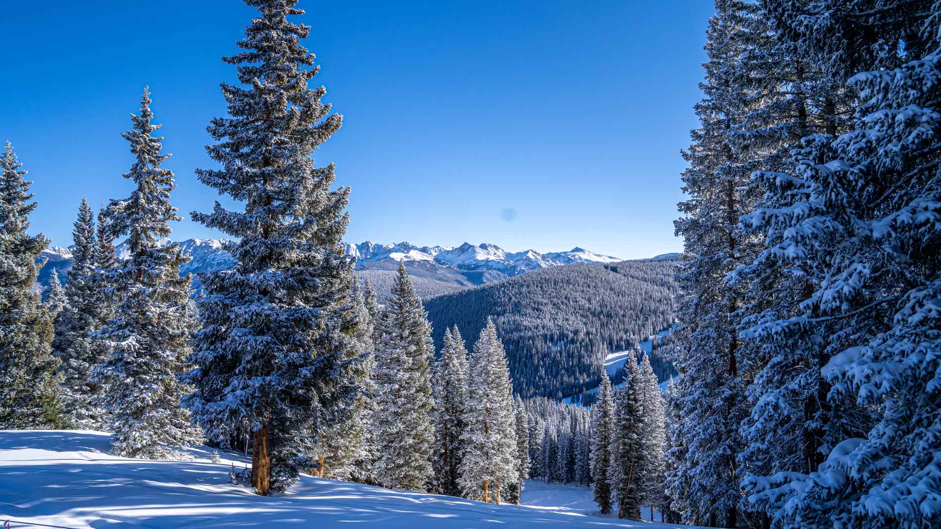 Vail by Tomas Cohen; © Vail Resorts -- All rights reserved.