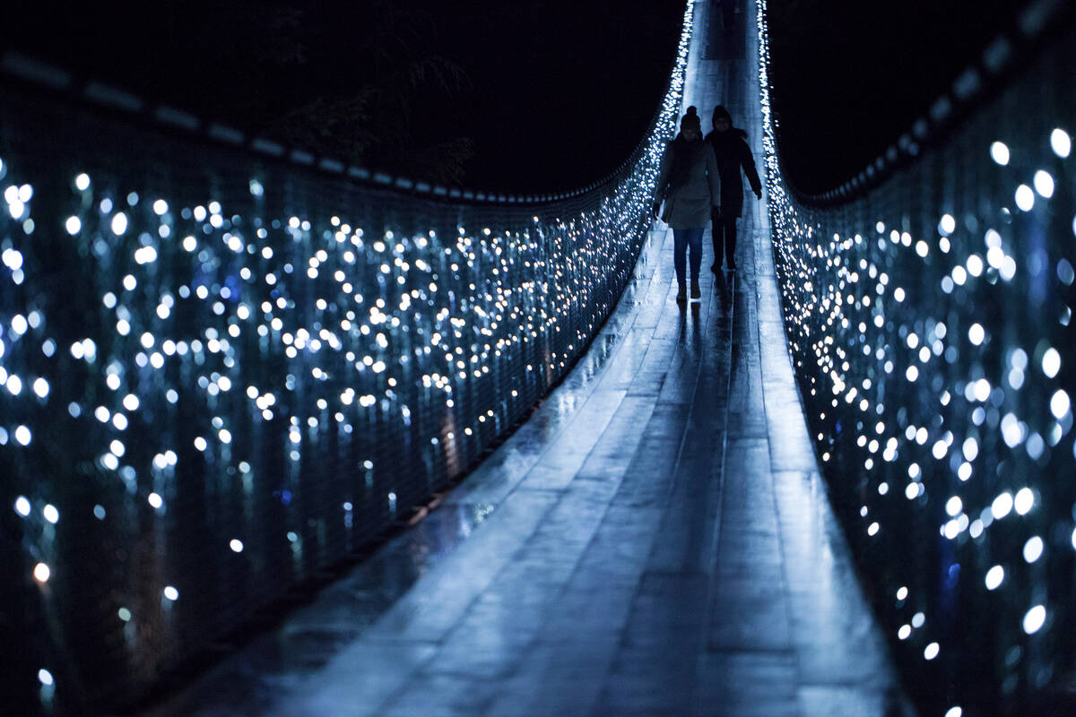 Capilano Suspension Bridge at night with Canyon Lights