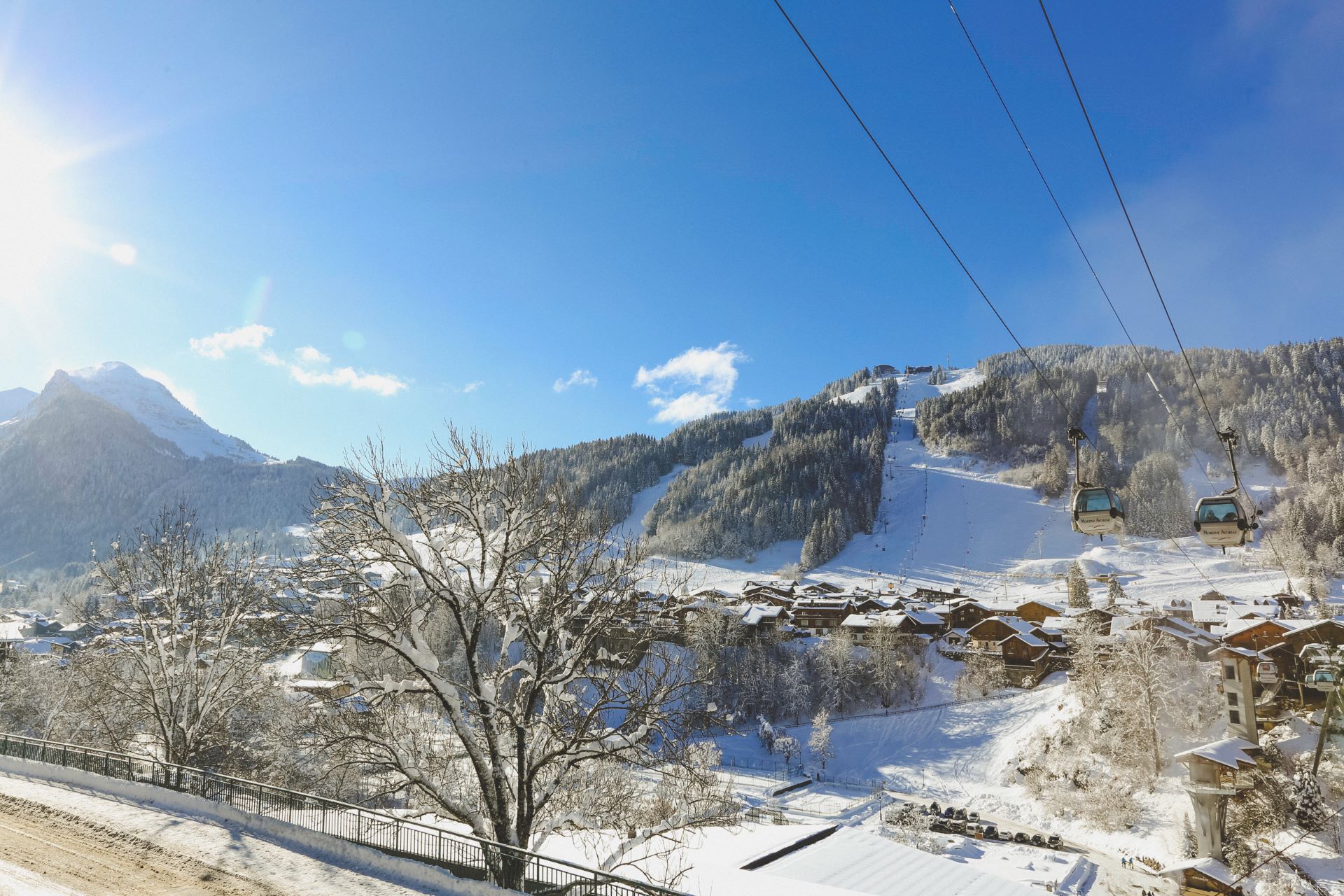 Image: Verity Taylor Littler