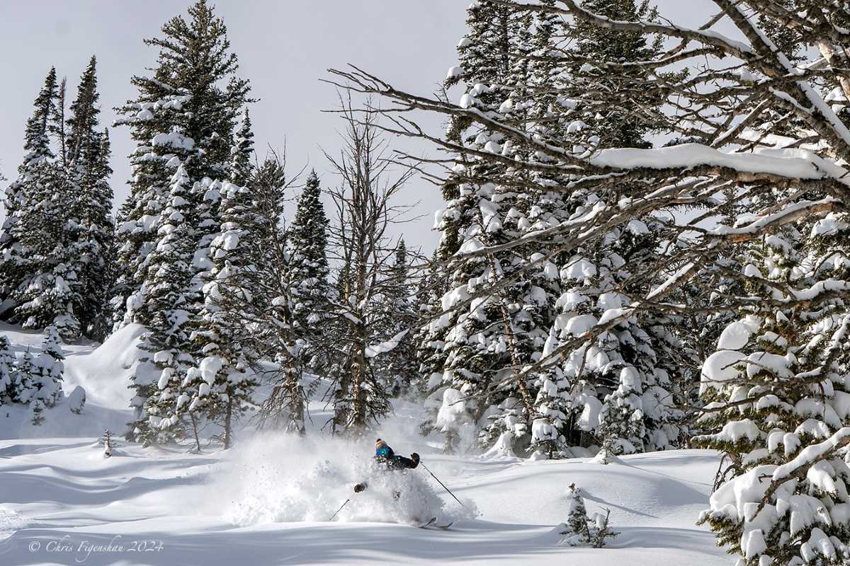 Jackson Hole Mountain Resort 6 January