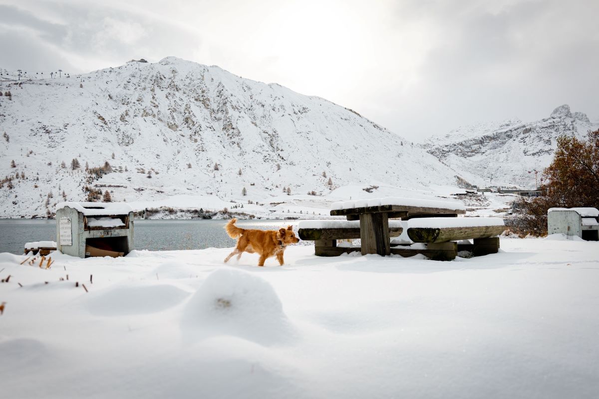 Tignes 18 Nov