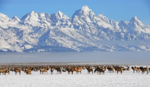 Top reasons to visit Jackson Hole and Big Sky