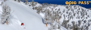 Multi-Resort Ski Passes