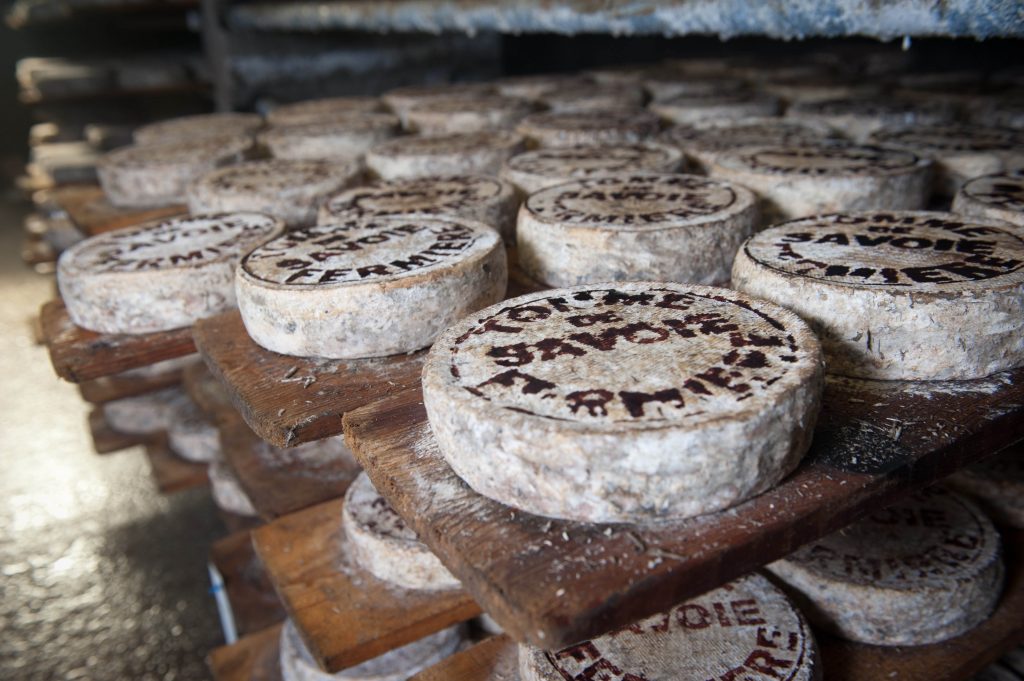 The Savoie Cheese Route - Tomme de Savoie cheeses in storage