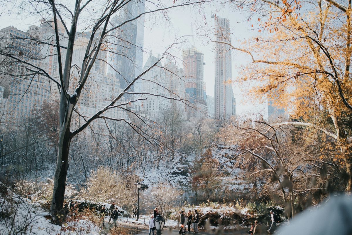 New York by Caitlyn Wilson on Unsplash