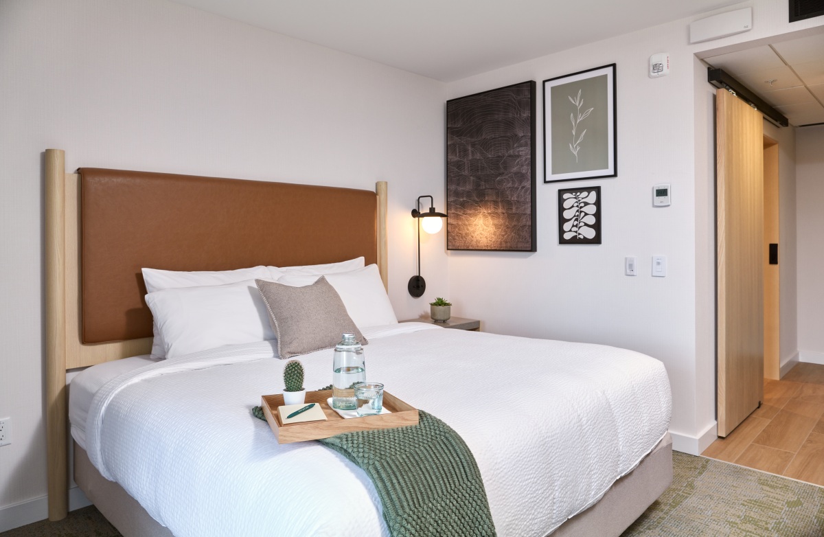 Forest Park Hotel - Sapling Suite king bed